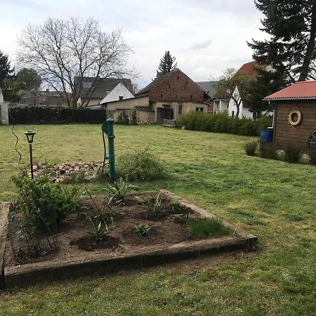 Ferienhaus Leo Boblitz Bagian luar foto