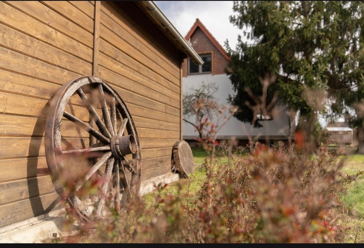 Ferienhaus Leo Boblitz Bagian luar foto